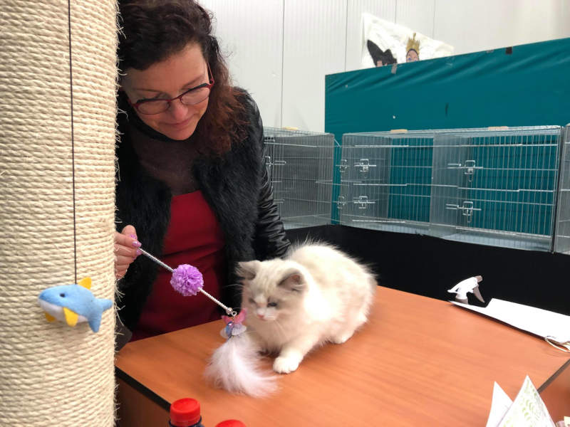 Cattery update van 24 april 2019