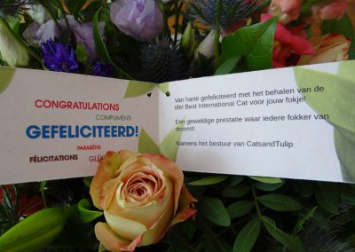 Bloemen voor beste TICA kat van 2019