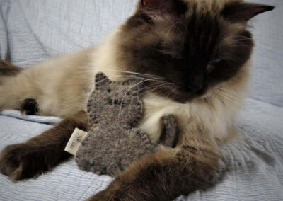 RW SGC AllWeNeedIs Come On Over aka Cosmo met wollen kattenspeeltje met catnip